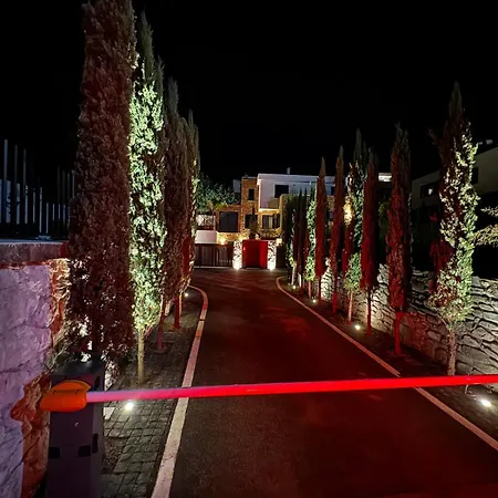 Luxury Silente Mjull-Bethore